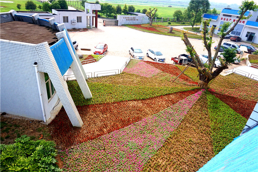 市目標督查室督查杰陽排水公司“花園式工廠”建設工作